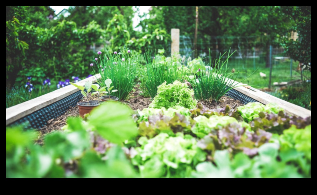 Dikey Cennet: Gardening Heights ile Huzurlu Dinlenme Alanınızı Tasarlayın